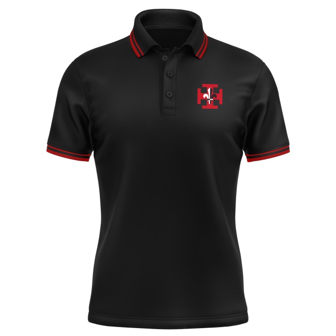 Polo Homme contrasté de qualité supérieure - Marquez votre Polo Homme contrasté avec votre Logo d'Entreprise (matériau de personnalisation haut de gamme, imprimé en France)